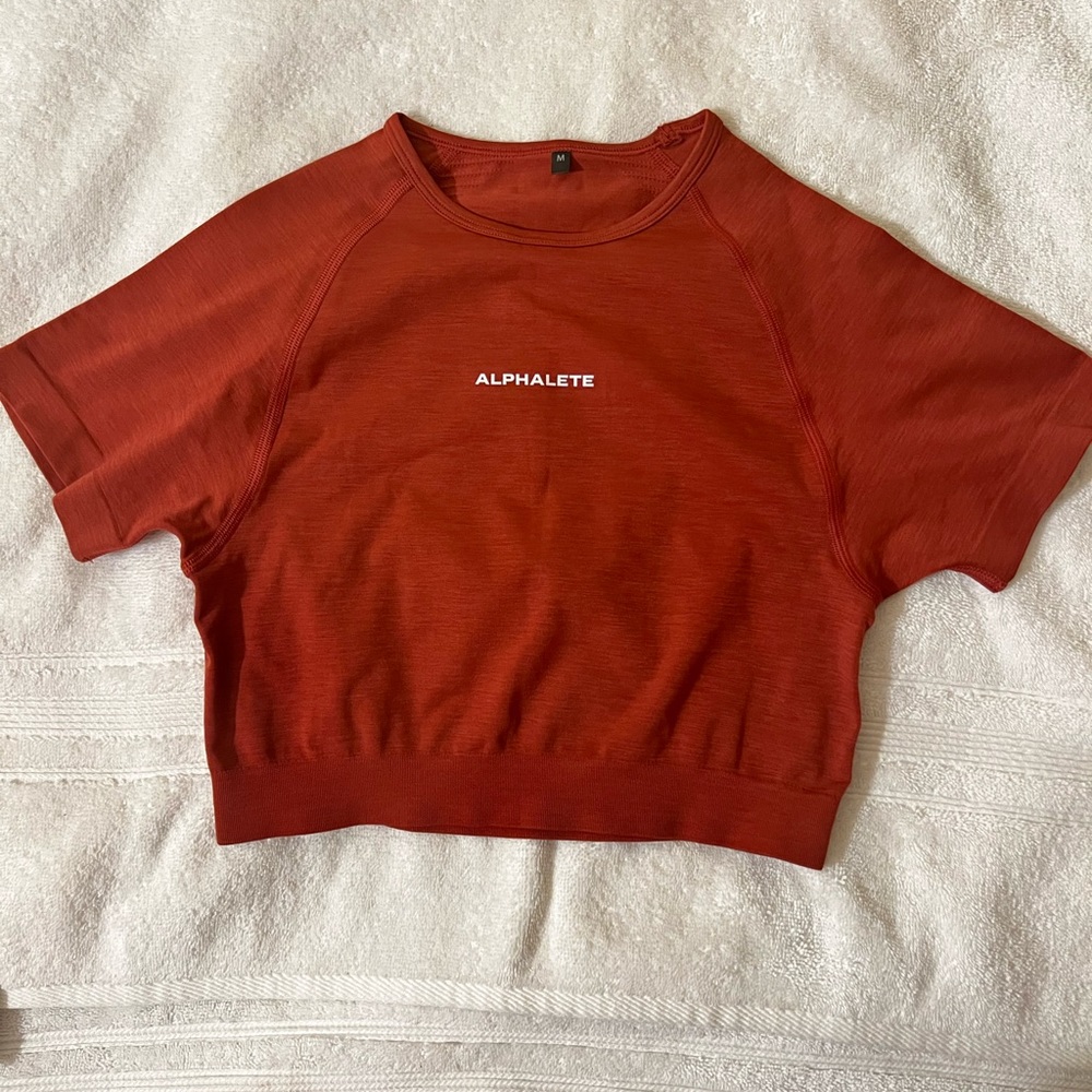 SOLD Fireside crop top !